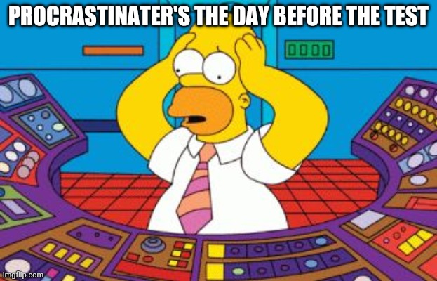 memes | PROCRASTINATER'S THE DAY BEFORE THE TEST | image tagged in homer simpson plant buttons | made w/ Imgflip meme maker