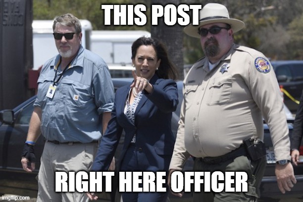 Kamala this post right here officer | THIS POST; RIGHT HERE OFFICER | image tagged in kamala pointing | made w/ Imgflip meme maker