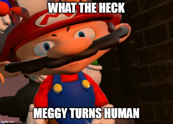 What The Heck Meggy Turns Human | WHAT THE HECK; MEGGY TURNS HUMAN | image tagged in smg4 mario eyes,smg4 | made w/ Imgflip meme maker