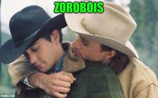ZOROBOIS | made w/ Imgflip meme maker