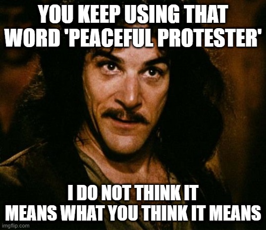 Protesters? | YOU KEEP USING THAT WORD 'PEACEFUL PROTESTER'; I DO NOT THINK IT MEANS WHAT YOU THINK IT MEANS | image tagged in you keep using that word | made w/ Imgflip meme maker