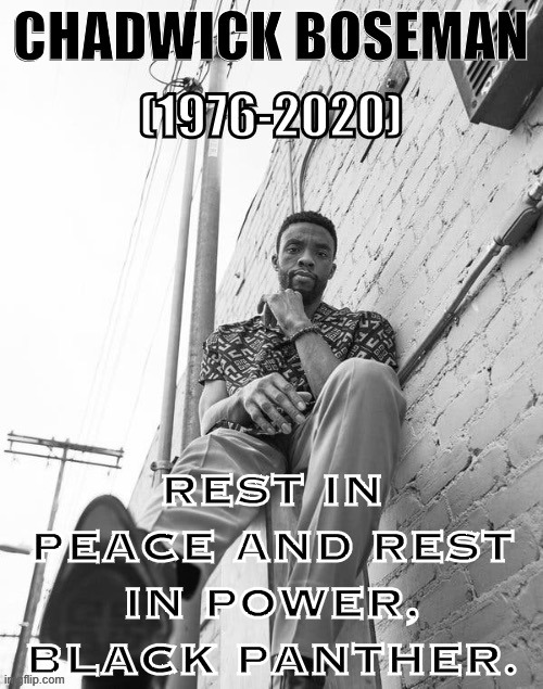 Remembering a gifted actor taken from us too soon. | image tagged in rip chadwick boseman,r i p,actor,wakanda forever,marvel,rest in peace | made w/ Imgflip meme maker