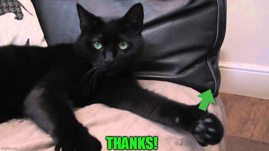 thumbs up cat | THANKS! | image tagged in thumbs up cat | made w/ Imgflip meme maker