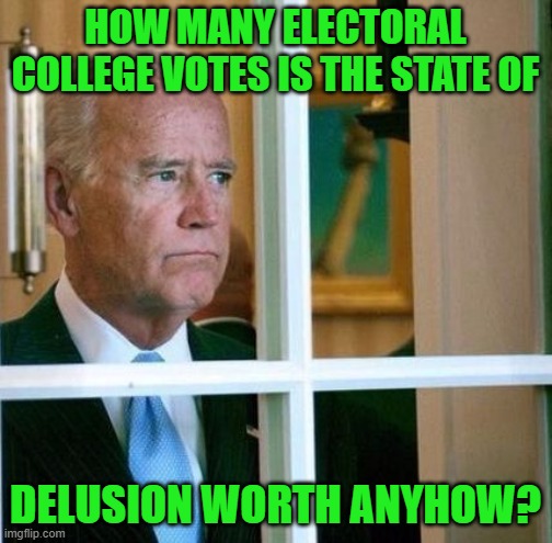 Sad Joe Biden | HOW MANY ELECTORAL COLLEGE VOTES IS THE STATE OF DELUSION WORTH ANYHOW? | image tagged in sad joe biden | made w/ Imgflip meme maker