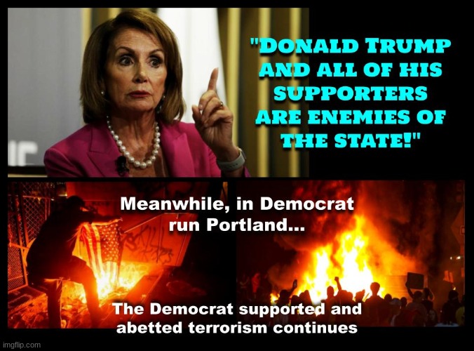 Democrats are proof of the mental illness that results from systemic inbreeding | image tagged in portland riots,democrats,rioters,political,politics | made w/ Imgflip meme maker