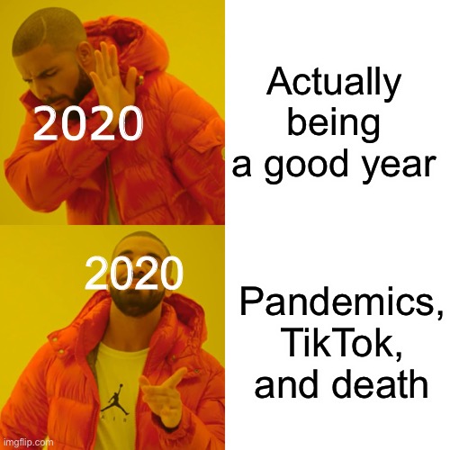 The actual truth | Actually being a good year; 2020; 2020; Pandemics, TikTok, and death | image tagged in memes,drake hotline bling | made w/ Imgflip meme maker
