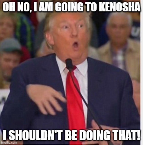 Just Visiting | OH NO, I AM GOING TO KENOSHA; I SHOULDN'T BE DOING THAT! | image tagged in donald trump tho | made w/ Imgflip meme maker
