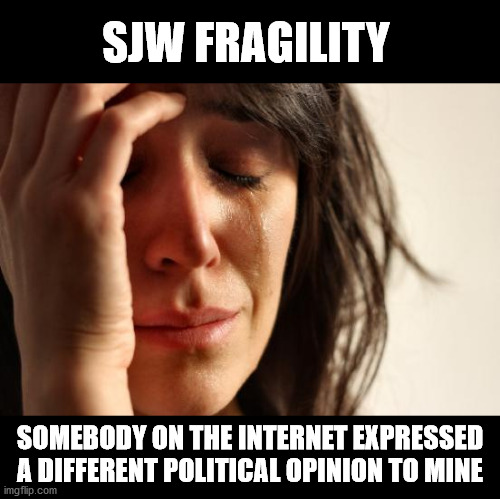 Cancel Culture Motivation |  SJW FRAGILITY; SOMEBODY ON THE INTERNET EXPRESSED A DIFFERENT POLITICAL OPINION TO MINE | image tagged in first world problems,political memes,sjws,social justice | made w/ Imgflip meme maker