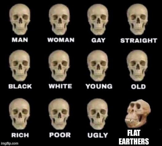 idiot skull | FLAT EARTHERS | image tagged in idiot skull | made w/ Imgflip meme maker