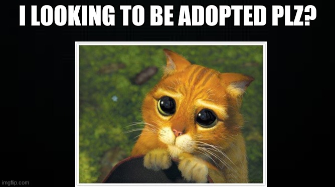 I LOOKING TO BE ADOPTED PLZ? | image tagged in plz | made w/ Imgflip meme maker