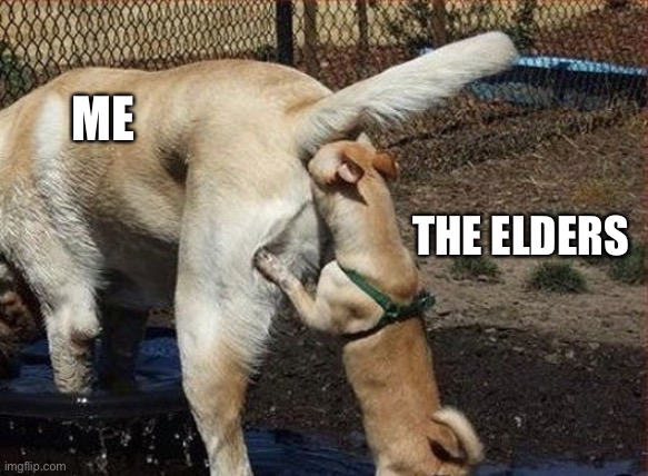 JW Elders | ME; THE ELDERS | image tagged in nosy people | made w/ Imgflip meme maker