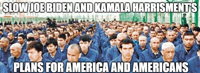 Biden's America | SLOW JOE BIDEN AND KAMALA HARRISMENT'S; PLANS FOR AMERICA AND AMERICANS | image tagged in biden,harrisment,memes,funny,2020,camps | made w/ Imgflip meme maker