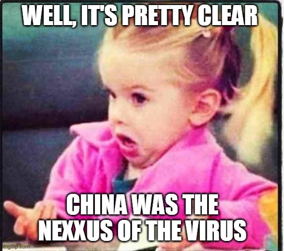 Confused Girl | WELL, IT'S PRETTY CLEAR CHINA WAS THE NEXXUS OF THE VIRUS | image tagged in confused girl | made w/ Imgflip meme maker