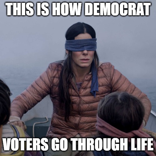 Blinded by lies | THIS IS HOW DEMOCRAT; VOTERS GO THROUGH LIFE | image tagged in memes,fun,funny,2020,democrats,losers | made w/ Imgflip meme maker