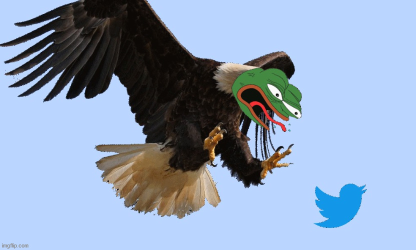 gab vs twitter | image tagged in gab,twitter,pepe,tweet,eagle pepe | made w/ Imgflip meme maker