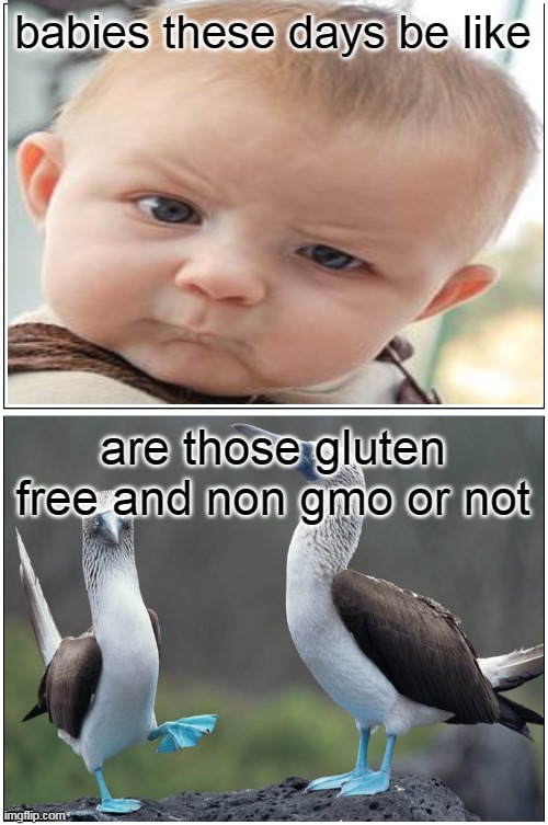 i ain't talking bout birds | babies these days be like; are those gluten free and non gmo or not | image tagged in memes,blank comic panel 1x2 | made w/ Imgflip meme maker