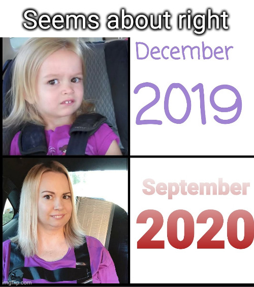 skeptical girl 2020 | Seems about right | image tagged in skeptical baby,2020 | made w/ Imgflip meme maker