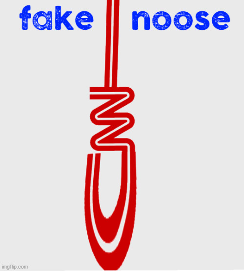 Fake Noose | image tagged in fake news,fake noose,cnn,noose | made w/ Imgflip meme maker