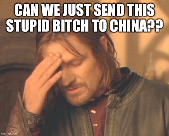 Frustrated Boromir Meme | CAN WE JUST SEND THIS STUPID BITCH TO CHINA?? | image tagged in memes,frustrated boromir | made w/ Imgflip meme maker