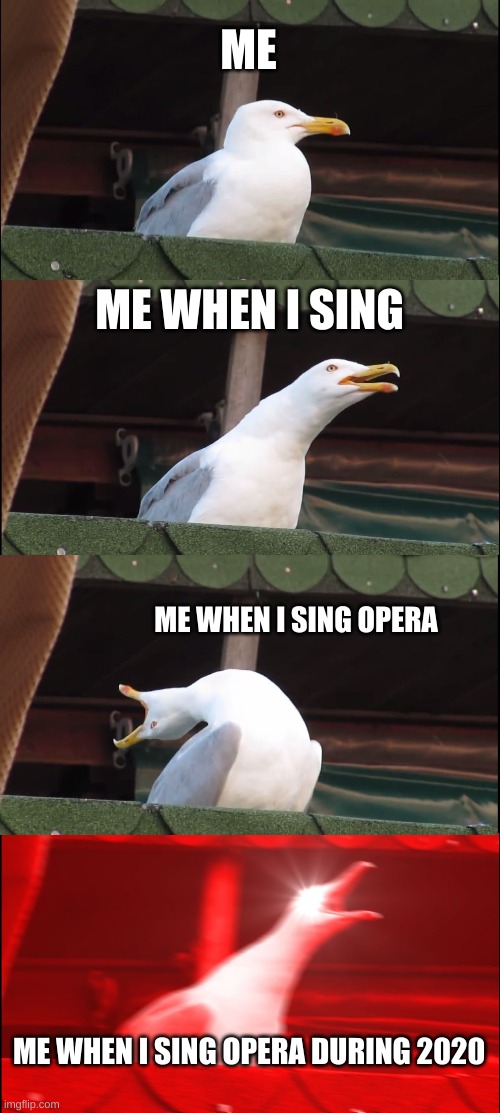 Inhaling Seagull Meme | ME; ME WHEN I SING; ME WHEN I SING OPERA; ME WHEN I SING OPERA DURING 2020 | image tagged in memes,inhaling seagull | made w/ Imgflip meme maker