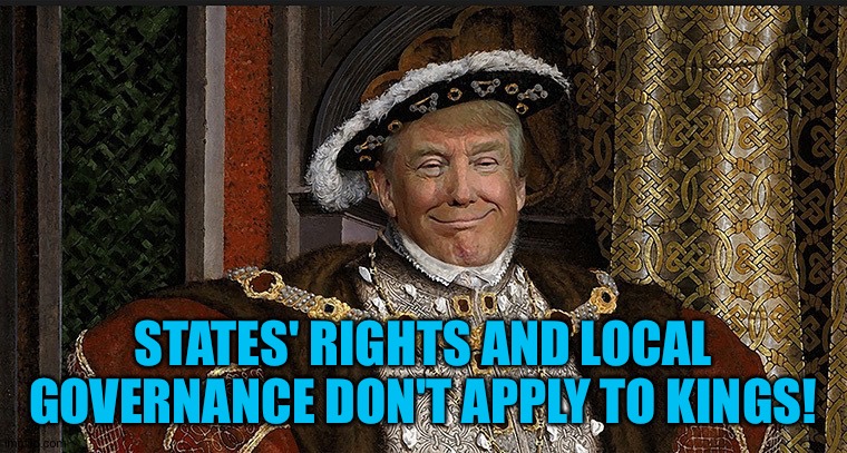 Trump King | STATES' RIGHTS AND LOCAL GOVERNANCE DON'T APPLY TO KINGS! | image tagged in trump king | made w/ Imgflip meme maker