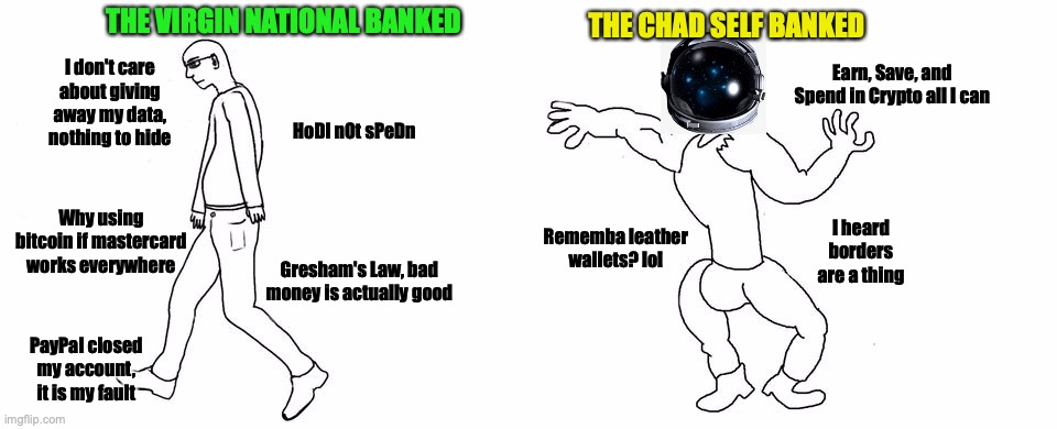 Virgin vs Chad | THE CHAD SELF BANKED; THE VIRGIN NATIONAL BANKED; I don't care about giving away my data, nothing to hide; Earn, Save, and Spend in Crypto all I can; HoDl nOt sPeDn; I heard borders are a thing; Why using bitcoin if mastercard works everywhere; Rememba leather wallets? lol; Gresham's Law, bad money is actually good; PayPal closed my account, it is my fault | image tagged in virgin vs chad | made w/ Imgflip meme maker