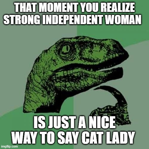 Philosoraptor | THAT MOMENT YOU REALIZE STRONG INDEPENDENT WOMAN; IS JUST A NICE WAY TO SAY CAT LADY | image tagged in memes,philosoraptor | made w/ Imgflip meme maker