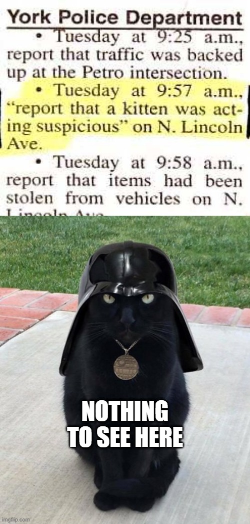 The Dark Cat | NOTHING TO SEE HERE | image tagged in vadar kitty | made w/ Imgflip meme maker
