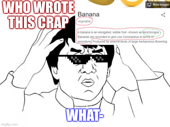I don’t know what I just found... | WHO WROTE THIS CRAP; WHAT- | image tagged in jackie chan wtf,dumb,banana | made w/ Imgflip meme maker