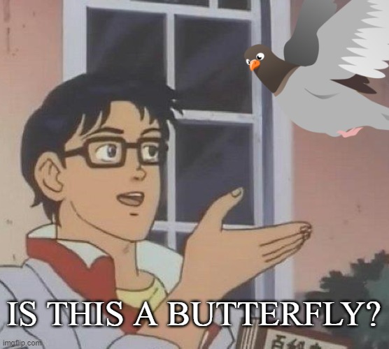 Is This A Pigeon Meme | IS THIS A BUTTERFLY? | image tagged in memes,is this a pigeon,funny | made w/ Imgflip meme maker