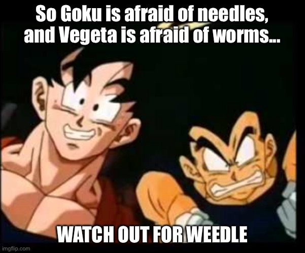 Goku and Vegeta biggest fears | So Goku is afraid of needles, and Vegeta is afraid of worms... WATCH OUT FOR WEEDLE | image tagged in secrets | made w/ Imgflip meme maker