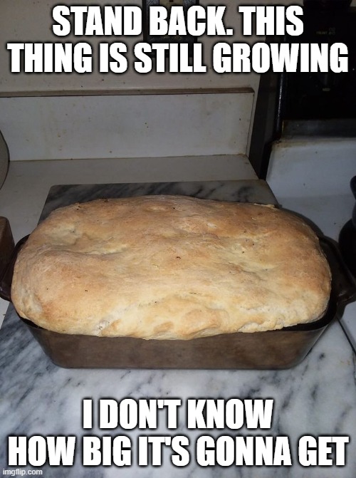 big bread | STAND BACK. THIS THING IS STILL GROWING; I DON'T KNOW HOW BIG IT'S GONNA GET | image tagged in funny | made w/ Imgflip meme maker