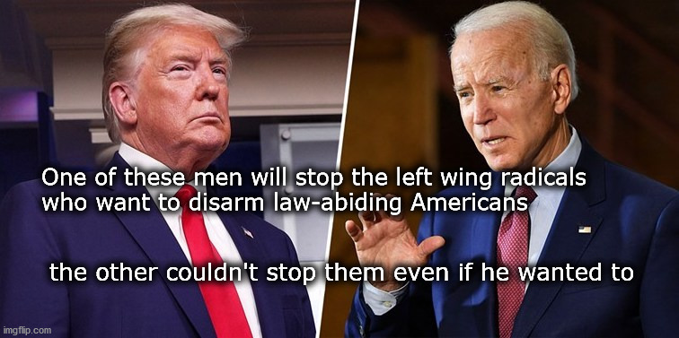 Disarming America | One of these men will stop the left wing radicals 
who want to disarm law-abiding Americans; the other couldn't stop them even if he wanted to | image tagged in gun control | made w/ Imgflip meme maker