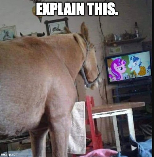 explain this. | EXPLAIN THIS. | image tagged in mlp | made w/ Imgflip meme maker