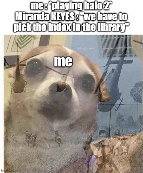 HALO CE Library level is just damn Hell | me : *playing halo 2*
Miranda KEYES : "we have to pick the index in the library"; me | image tagged in ptsd chihuahua,halo | made w/ Imgflip meme maker