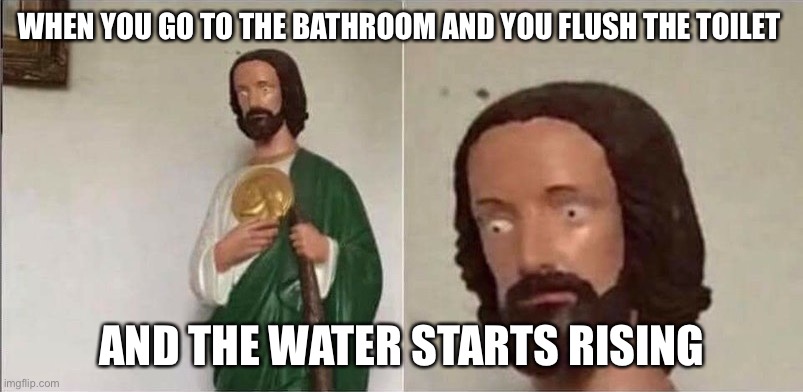 Surprised Jesus | WHEN YOU GO TO THE BATHROOM AND YOU FLUSH THE TOILET; AND THE WATER STARTS RISING | image tagged in surprised jesus | made w/ Imgflip meme maker