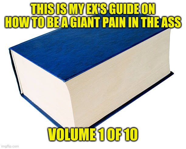 ex's big book | THIS IS MY EX'S GUIDE ON HOW TO BE A GIANT PAIN IN THE ASS; VOLUME 1 OF 10 | image tagged in ex,funny,memes,meme,crazy,funny memes | made w/ Imgflip meme maker