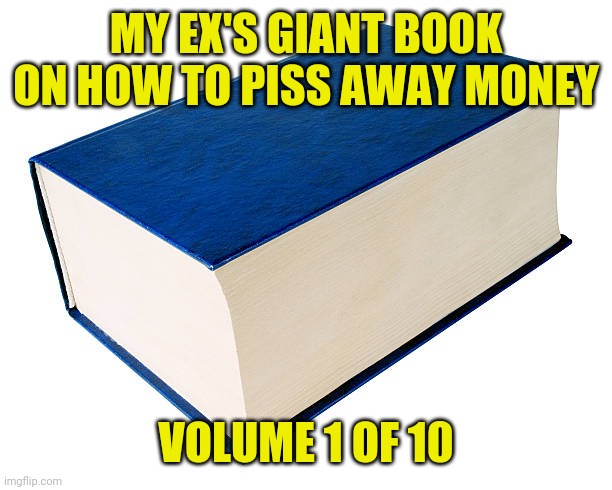my ex's big book | MY EX'S GIANT BOOK ON HOW TO PISS AWAY MONEY; VOLUME 1 OF 10 | image tagged in ex,funny,meme,funny memes,memes,crazy girlfriend | made w/ Imgflip meme maker