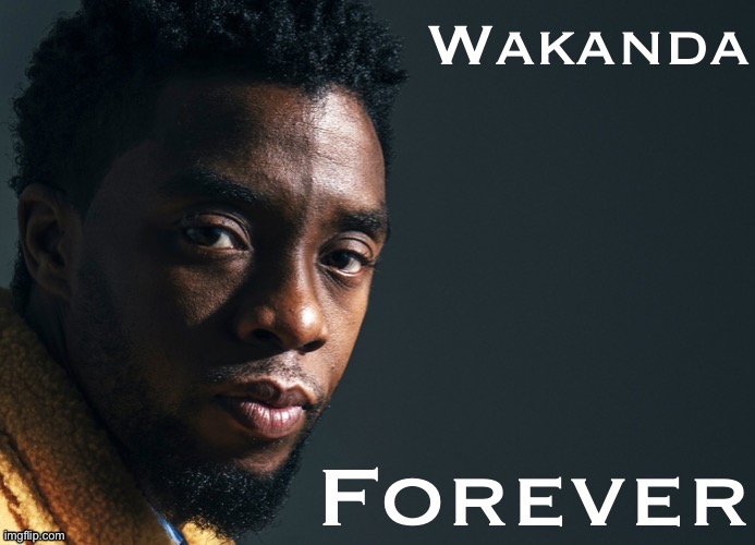 Wakanda Forever R.I.P. Chadwick Boseman | image tagged in wakanda forever r i p chadwick boseman | made w/ Imgflip meme maker