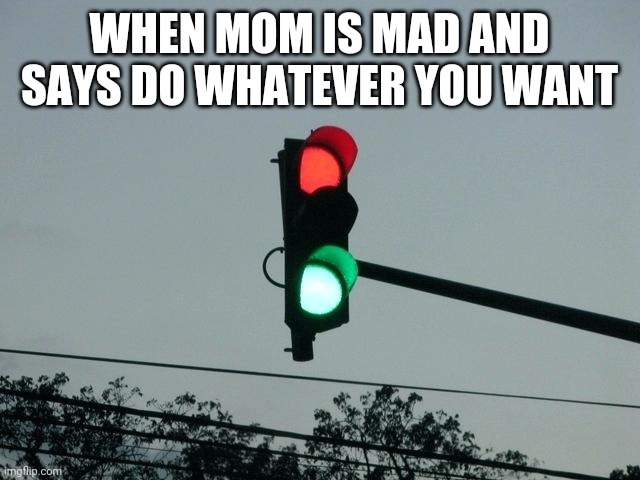 red and green lights on | WHEN MOM IS MAD AND SAYS DO WHATEVER YOU WANT | image tagged in red and green lights on,memes | made w/ Imgflip meme maker