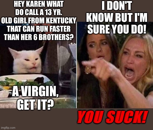 Woman yelling at cat | HEY KAREN WHAT DO CALL A 13 YR. OLD GIRL FROM KENTUCKY THAT CAN RUN FASTER THAN HER 6 BROTHERS? I DON'T KNOW BUT I'M SURE YOU DO! A VIRGIN, GET IT? YOU SUCK! | image tagged in reverse smudge and karen | made w/ Imgflip meme maker