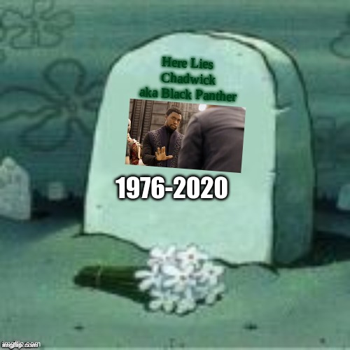 F in the chat | Here Lies 
Chadwick aka Black Panther; 1976-2020 | image tagged in here lies x,memes,rip,black panther,press f to pay respects | made w/ Imgflip meme maker