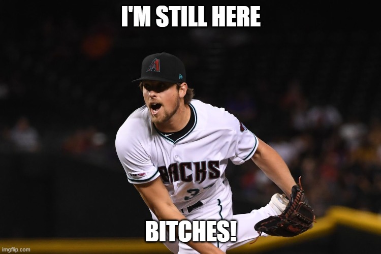 ginkel | I'M STILL HERE; BITCHES! | image tagged in dbacks,memes | made w/ Imgflip meme maker