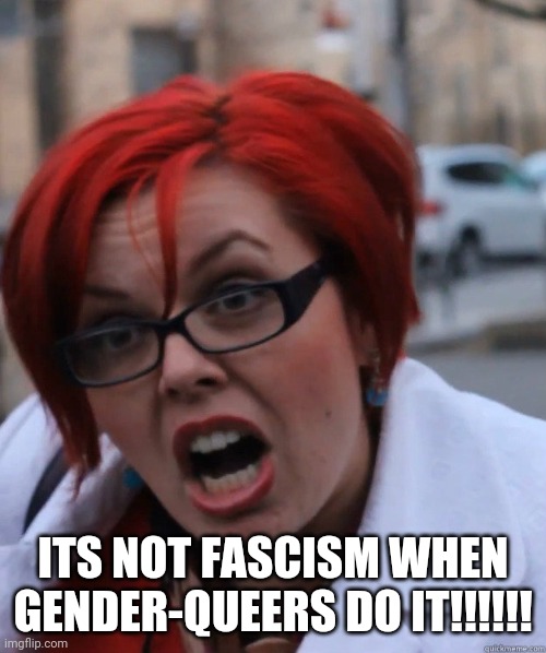 ITS NOT FASCISM WHEN GENDER-QUEERS DO IT!!!!!! | image tagged in hitler | made w/ Imgflip meme maker