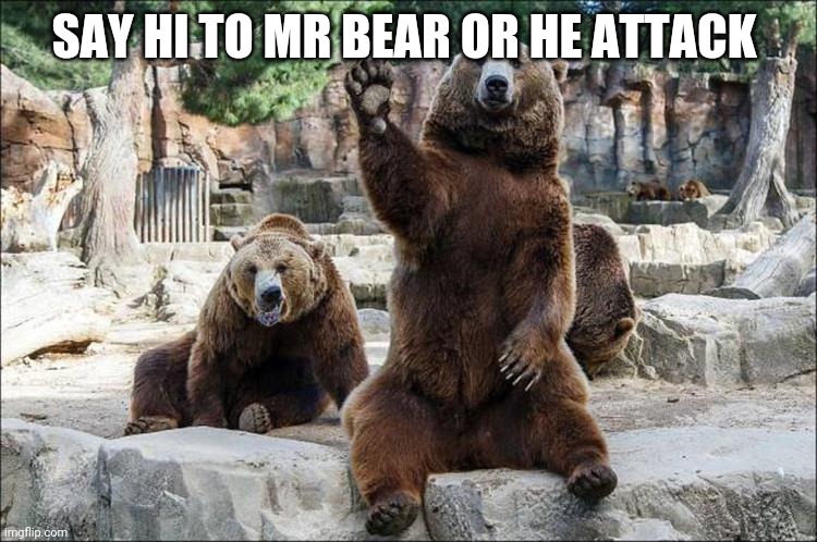 say hi or be attack | SAY HI TO MR BEAR OR HE ATTACK | image tagged in say it back or bear attack,attacked | made w/ Imgflip meme maker