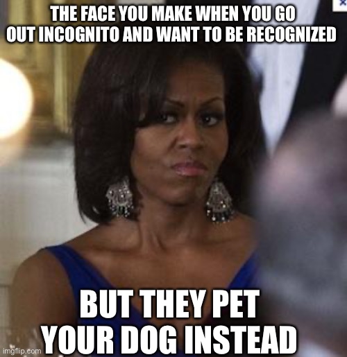 Michelle “Incognito” Obama | THE FACE YOU MAKE WHEN YOU GO OUT INCOGNITO AND WANT TO BE RECOGNIZED; BUT THEY PET YOUR DOG INSTEAD | image tagged in michelle obama side eye | made w/ Imgflip meme maker