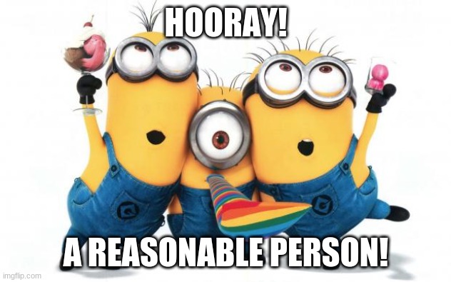 Minion party despicable me | HOORAY! A REASONABLE PERSON! | image tagged in minion party despicable me | made w/ Imgflip meme maker