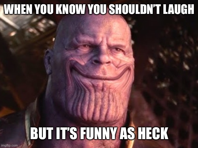 Thanos Smiles When He Snaps | WHEN YOU KNOW YOU SHOULDN’T LAUGH BUT IT’S FUNNY AS HECK | image tagged in thanos smiles when he snaps | made w/ Imgflip meme maker