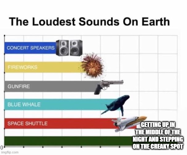 IT IS SO FRICKIN LOUD! | GETTING UP IN THE MIDDLE OF THE NIGHT AND STEPPING ON THE CREAKY SPOT | image tagged in the loudest sounds on earth | made w/ Imgflip meme maker