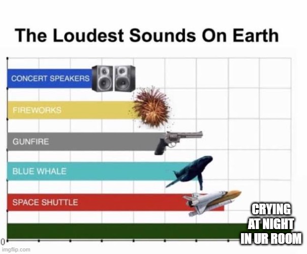 Its so loud, what the hek. | CRYING AT NIGHT IN UR ROOM | image tagged in the loudest sounds on earth | made w/ Imgflip meme maker